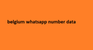 belgium whatsapp number data