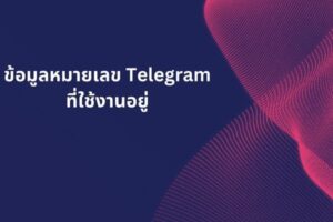 ข้อมูลหมายเลข Telegram ที่ใช้งานอยู่
