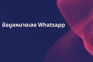 ข้อมูลหมายเลข Whatsapp 